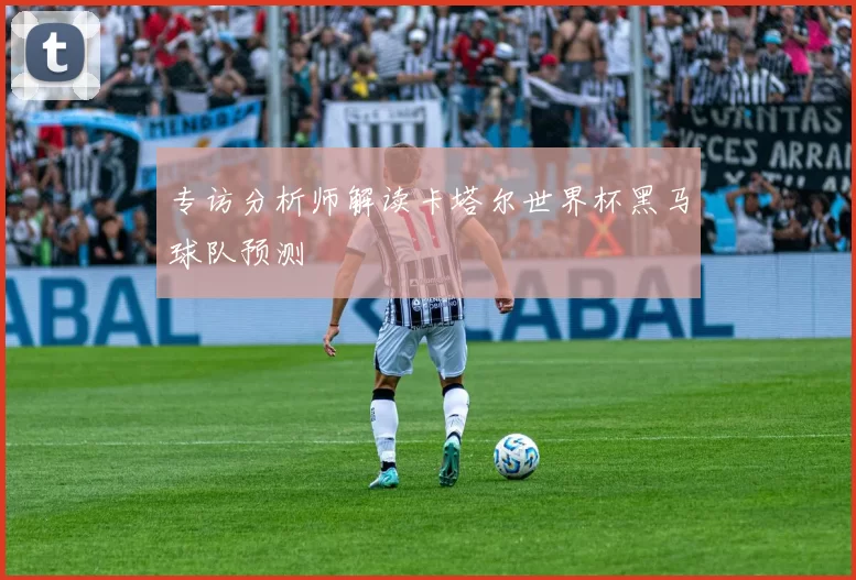 专访分析师解读卡塔尔世界杯黑马球队预测