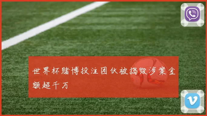 世界杯赌博投注团伙被捣毁涉案金额超千万