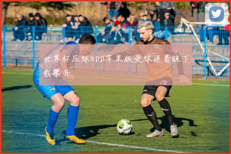 世界杯压球app苹果版受球迷青睐下载攀升