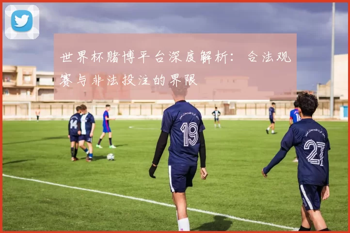世界杯赌博平台深度解析：合法观赛与非法投注的界限
