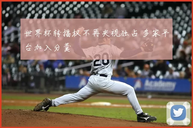 世界杯转播权不再央视独占 多家平台加入分羹