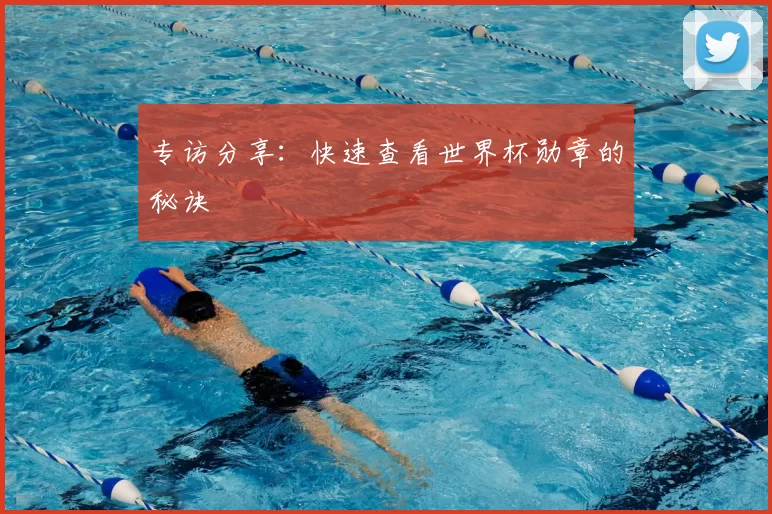 专访分享：快速查看世界杯勋章的秘诀