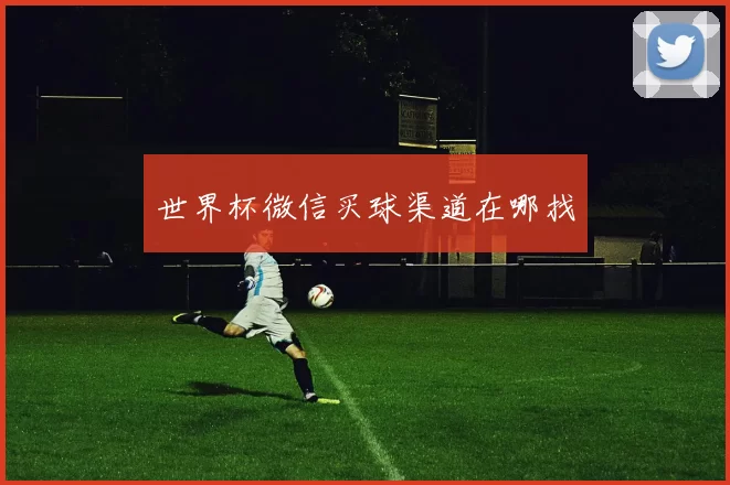 世界杯微信买球渠道在哪找