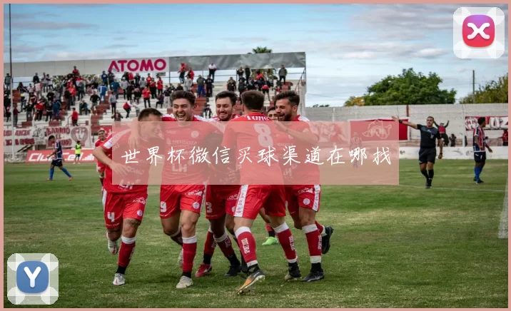 世界杯微信买球渠道在哪找