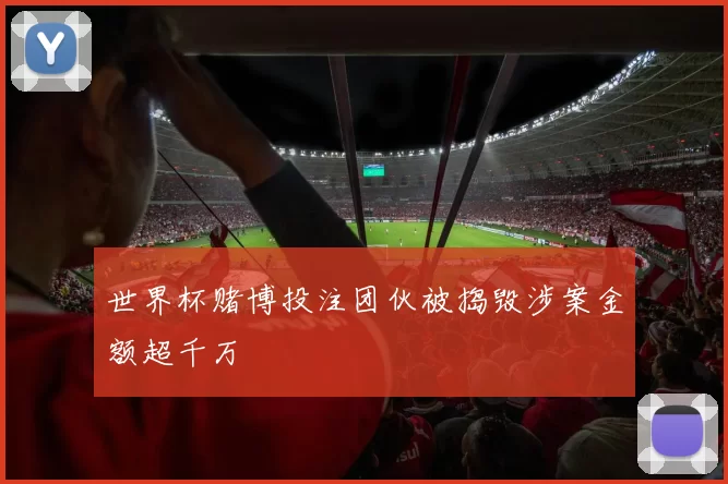 世界杯赌博投注团伙被捣毁涉案金额超千万