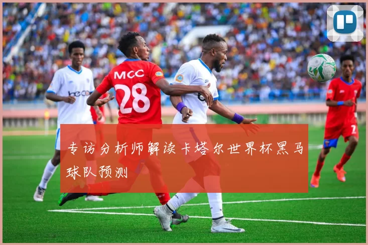 专访分析师解读卡塔尔世界杯黑马球队预测