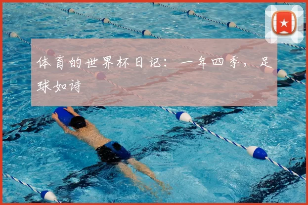 体育的世界杯日记：一年四季，足球如诗